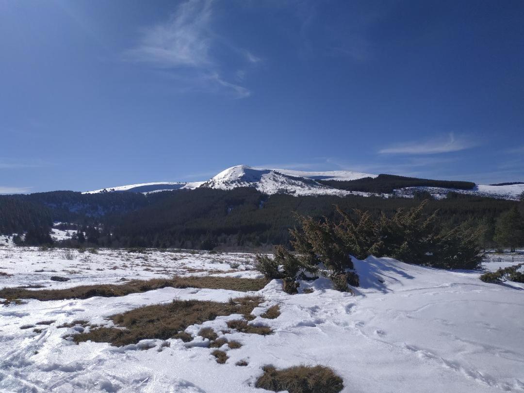 Saint-Sandoux Nid Sous Le Volcan מראה חיצוני תמונה