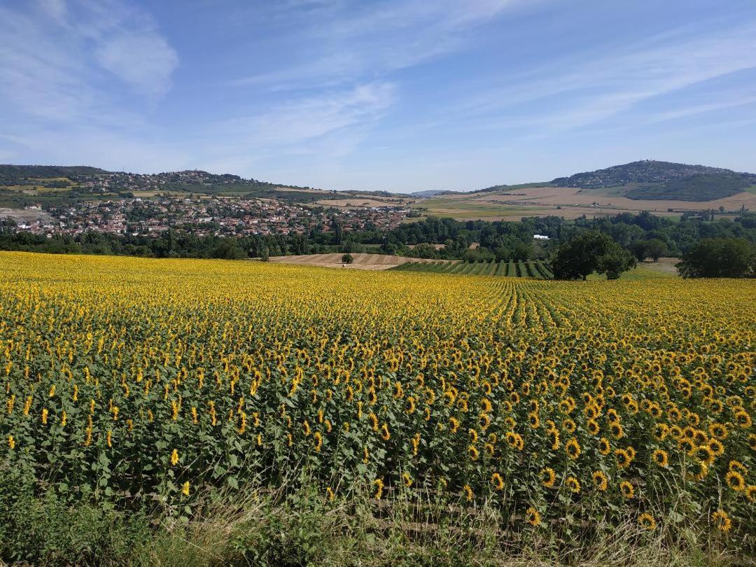 Saint-Sandoux Nid Sous Le Volcan מראה חיצוני תמונה